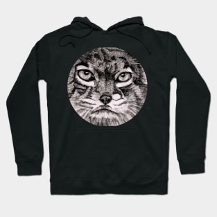 I&#39;m around Cat! ...:o) Hoodie